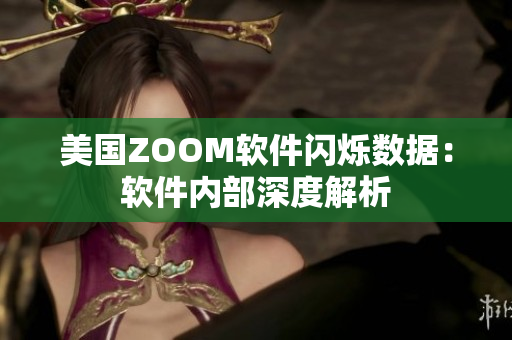 美国ZOOM软件闪烁数据：软件内部深度解析