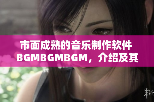 市面成熟的音乐制作软件 BGMBGMBGM，介绍及其价格分析