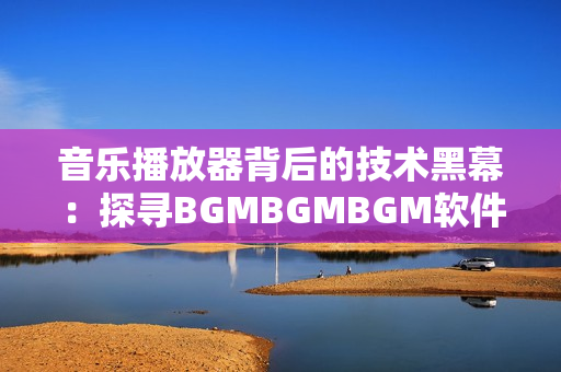 音乐播放器背后的技术黑幕：探寻BGMBGMBGM软件的潜力与价格