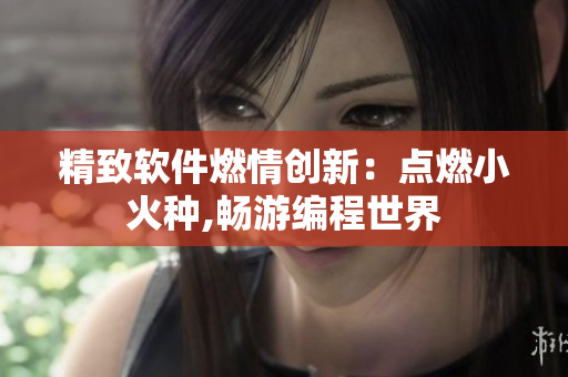 精致软件燃情创新：点燃小火种,畅游编程世界