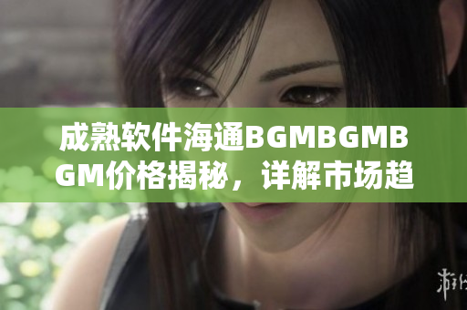 成熟软件海通BGMBGMBGM价格揭秘，详解市场趋势与产品特性