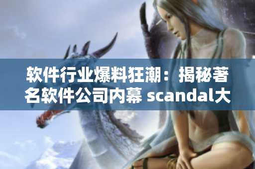 软件行业爆料狂潮：揭秘著名软件公司内幕 scandal大点播网