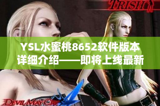 YSL水蜜桃8652软件版本详细介绍——即将上线最新功能及改进