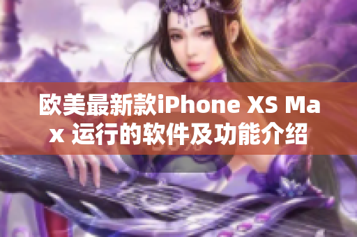 欧美最新款iPhone XS Max 运行的软件及功能介绍