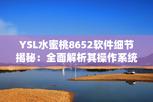 YSL水蜜桃8652软件细节揭秘：全面解析其操作系统及功能特点