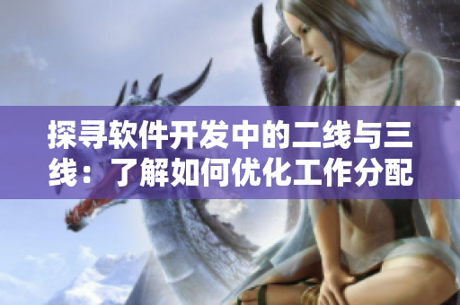 探寻软件开发中的二线与三线：了解如何优化工作分配与团队协作