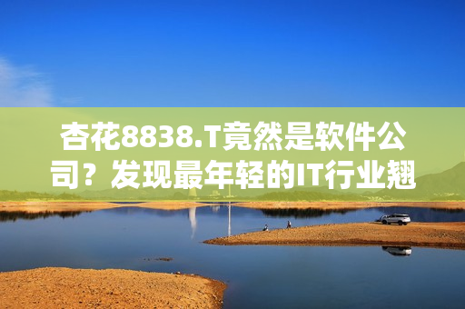 杏花8838.T竟然是软件公司？发现最年轻的IT行业翘楚！