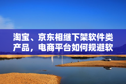 淘宝、京东相继下架软件类产品，电商平台如何规避软件知识产权问题？