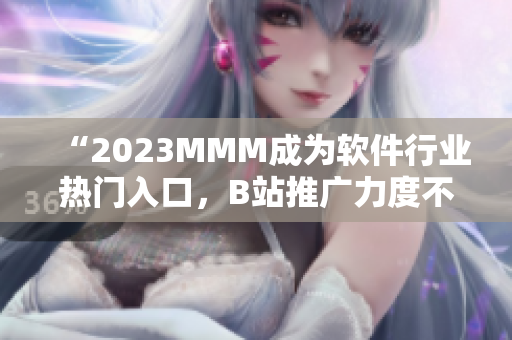 “2023MMM成为软件行业热门入口，B站推广力度不断增加”