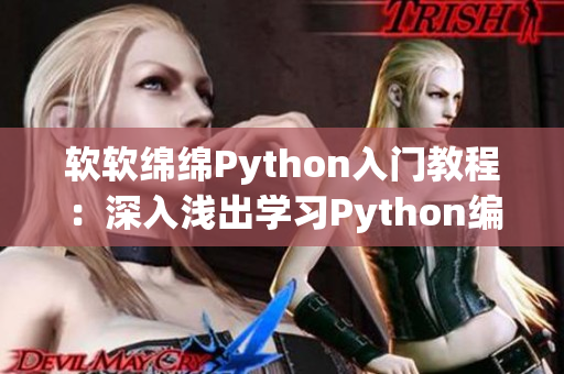 软软绵绵Python入门教程：深入浅出学习Python编程语言